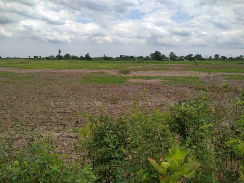 Land for sale in Bang Toei, 2 rai, near the new 304 ring road (7 km), Mueang Chachoengsao District., Chachoengsao, Bang Toei, Muang Chachoengsao, Chachoengsao, , 4,640 sqm, Land For Sale, by richwellinter, 500179301 - DDproperty.com