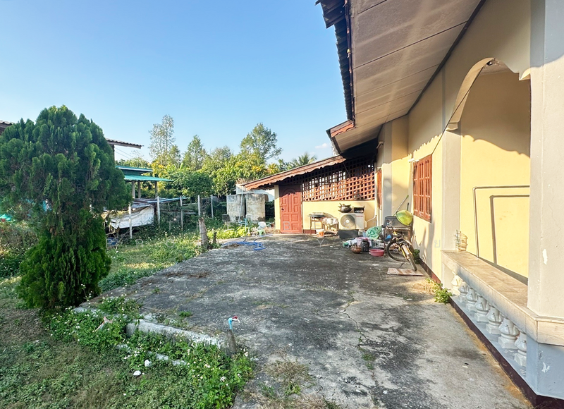 บ้านเดี่ยวอุโมงค์ ลำพูน, Lamphun, Umong, Muang Lamphun, Lamphun, 3 Bedrooms, 180 sqm, Single Detached House For Sale, by The Best Property บอย, 500179338 - DDproperty.com