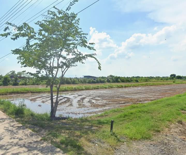 8 rai of land for sale in Tha Khai, adjacent to a concrete road,, Chachoengsao, Tha Khai, Muang Chachoengsao, Chachoengsao, , 14,112 sqm, Land For Sale, by richwellinter, 500179365 - DDproperty.com