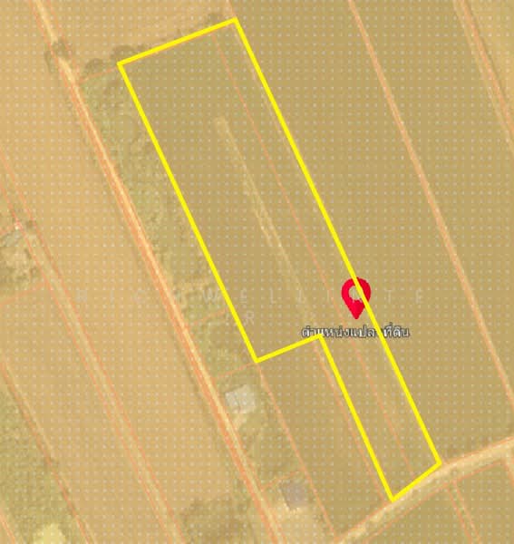 8 rai of land for sale in Tha Khai, adjacent to a concrete road,, Chachoengsao, Tha Khai, Muang Chachoengsao, Chachoengsao, , 14,112 sqm, Land For Sale, by richwellinter, 500179365 - DDproperty.com