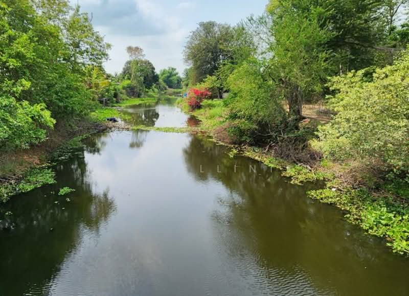 ขายที่ดินวังตะเคียน 53 ไร่ ซอยหลังแม็คโคร ติดคลอง ใกล้ถ.สุวินทวงศ์304-1กม. อ.เมืองฉะเชิงเทรา, ฉะเชิงเทรา, วังตะเคียน, เมืองฉะเชิงเทรา, ฉะเชิงเทรา, 84,816 ตร.ม., ที่ดิน ขาย, โดย richwellinter, 500179434 - DDproperty.com