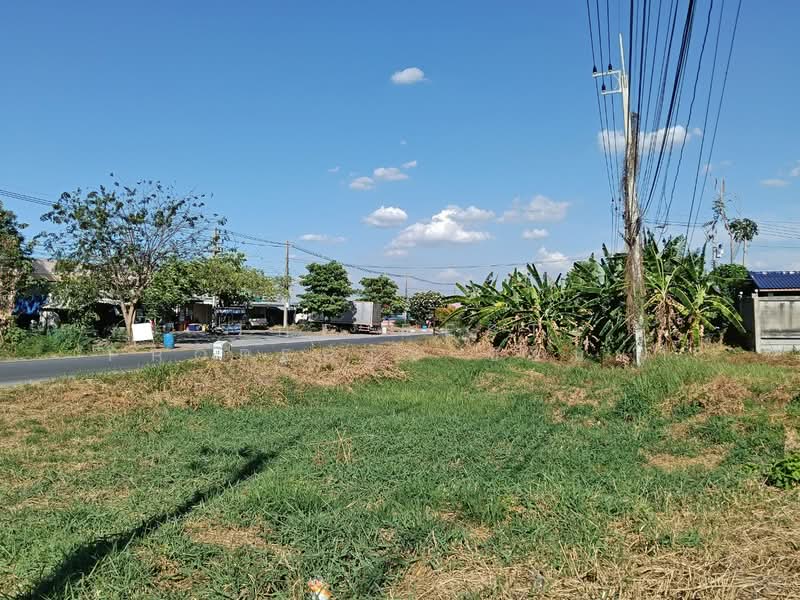 ที่ดินพัฒนานิคม ลพบุรี, ลพบุรี, ช่องสาริกา, พัฒนานิคม, ลพบุรี, 39,904 ตร.ม., ที่ดิน ขาย, โดย The Best Property ซอนย่า, 500179450 - DDproperty.com