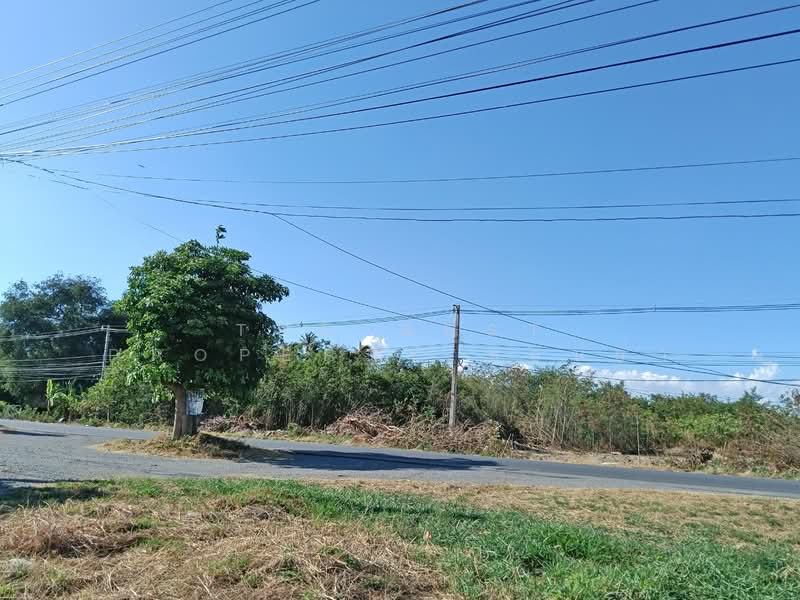 ที่ดินพัฒนานิคม ลพบุรี, ลพบุรี, ช่องสาริกา, พัฒนานิคม, ลพบุรี, 39,904 ตร.ม., ที่ดิน ขาย, โดย The Best Property ซอนย่า, 500179450 - DDproperty.com