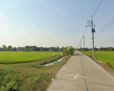 ขาย - ขายที่ดินคลองนครเนื่องเขต 45 ไร่ ติดคลองติดถนนคอนกรีต ใกล้ตลาดปองพล-5กม. อ.เมืองฉะเชิงเทรา, ฉะเชิงเทรา