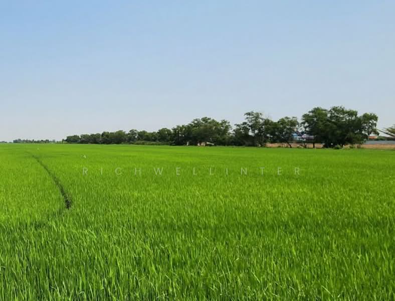 45 rai of land for sale in Khlong Nakhon Nueang Khet,, Chachoengsao, Khlong Nakhon Nuang Khet, Muang Chachoengsao, Chachoengsao, , 72,544 sqm, Land For Sale, by richwellinter, 500179500 - DDproperty.com