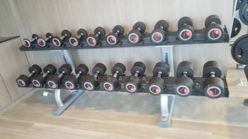 Circle Sukhumvit 11, Bangkok, 99 Soi Sukhumvit 11, Khlongtoei Nua, Watthana, Bangkok, 1 Bedroom, 30 sqm, Condo For Sale, by Orapa Sumetheesirisakul, 500179515 - DDproperty.com