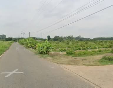 ขาย - ขายที่ดินพร้อมสวนทุเรียนเนื้อที่ 2 ไร่ ติดถนน2ด้าน ใกล้นิคมเกตเวย์-11กม. อ.แปลงยาว, ฉะเชิงเทรา