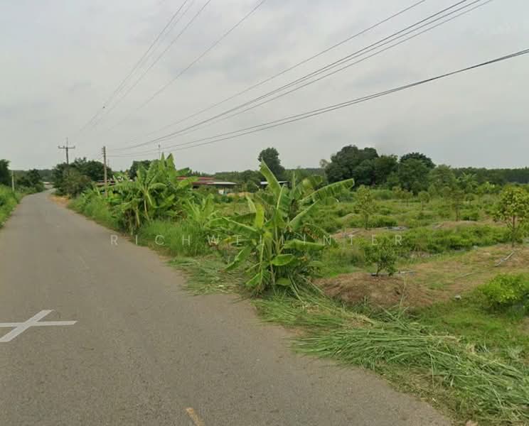 Land for sale with a durian orchard, 2 rai (approximately 0.8 acres), frontage on two roads,, Chachoengsao, Plaeng Yao, Plaeng Yao, Chachoengsao, , 3,252 sqm, Land For Sale, by richwellinter, 500179546 - DDproperty.com