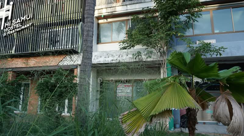 ขาย - อาคารพาณิชย์ บ่อผุด เกาะสมุย จังหวัด สุราษฎร์ธานี, สุราษฎร์ธานี