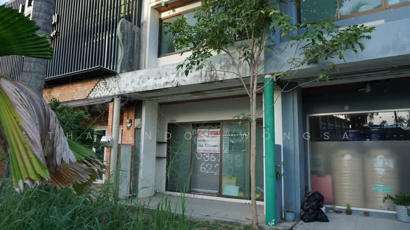 ขาย - อาคารพาณิชย์ บ่อผุด เกาะสมุย จังหวัด สุราษฎร์ธานี, สุราษฎร์ธานี