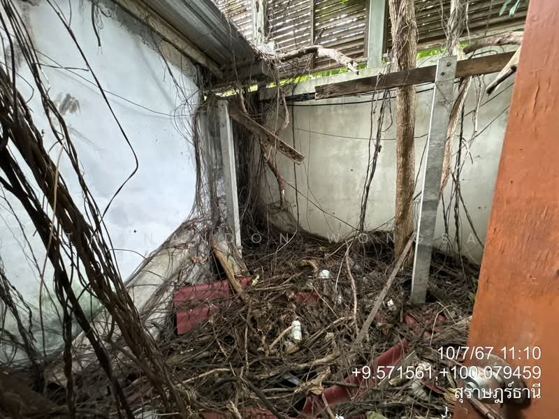 ขาย - อาคารพาณิชย์ บ่อผุด เกาะสมุย จังหวัด สุราษฎร์ธานี, สุราษฎร์ธานี