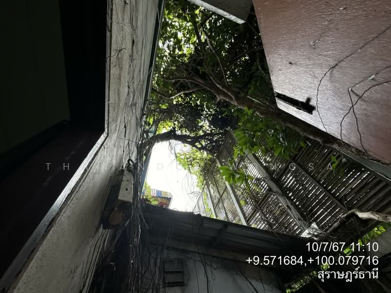 ขาย - อาคารพาณิชย์ บ่อผุด เกาะสมุย จังหวัด สุราษฎร์ธานี, สุราษฎร์ธานี