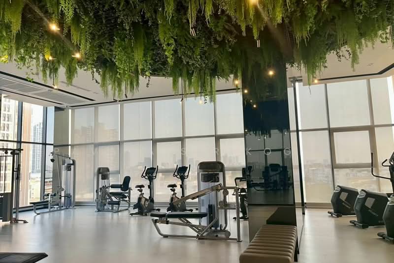 IDEO Sukhumvit Rama 4, Bangkok, Soi Sukhumvit 44, Sukhumvit Road, Phra Kanong, Khlong Toei, Bangkok, 1 Bedroom, 30 sqm, Condo For Rent, by Pavana Sirikogar, 500179576 - DDproperty.com