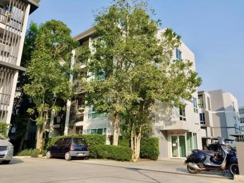 Casa Condo CMU : คาซ่า คอนโด @ซีเอ็มยู, เชียงใหม่, เชียงใหม่  เมืองเชียงใหม่  สุเทพ, สุเทพ, เมืองเชียงใหม่, เชียงใหม่, 44 ตร.ม., คอนโด ขาย, โดย Shori Asset Group Co., Ltd., 500179707 - DDproperty.com