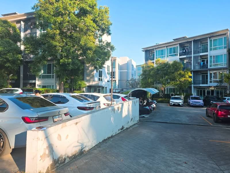 Casa Condo CMU : คาซ่า คอนโด @ซีเอ็มยู, เชียงใหม่, เชียงใหม่  เมืองเชียงใหม่  สุเทพ, สุเทพ, เมืองเชียงใหม่, เชียงใหม่, 44 ตร.ม., คอนโด ขาย, โดย Shori Asset Group Co., Ltd., 500179707 - DDproperty.com