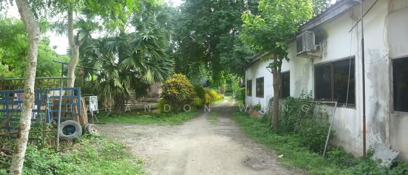 บ้านเดี่ยว ถนน ริมโขง เวียง เชียงแสน จังหวัด เชียงราย, เชียงราย, เวียง, เชียงแสน, เชียงราย, 608 ตร.ม., บ้านเดี่ยว ขาย, โดย Thanandon Wongsa, 500179727 - DDproperty.com