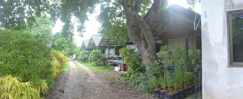 บ้านเดี่ยว ถนน ริมโขง เวียง เชียงแสน จังหวัด เชียงราย, เชียงราย, เวียง, เชียงแสน, เชียงราย, 608 ตร.ม., บ้านเดี่ยว ขาย, โดย Thanandon Wongsa, 500179727 - DDproperty.com