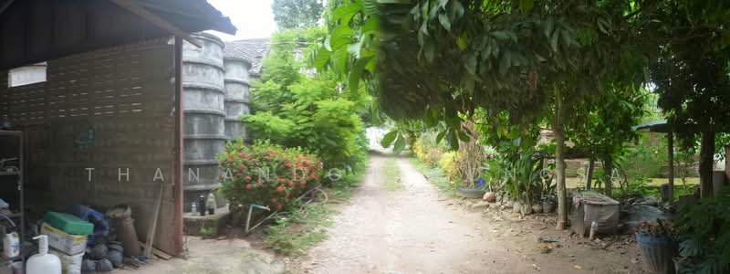 บ้านเดี่ยว ถนน ริมโขง เวียง เชียงแสน จังหวัด เชียงราย, เชียงราย, เวียง, เชียงแสน, เชียงราย, 608 ตร.ม., บ้านเดี่ยว ขาย, โดย Thanandon Wongsa, 500179727 - DDproperty.com