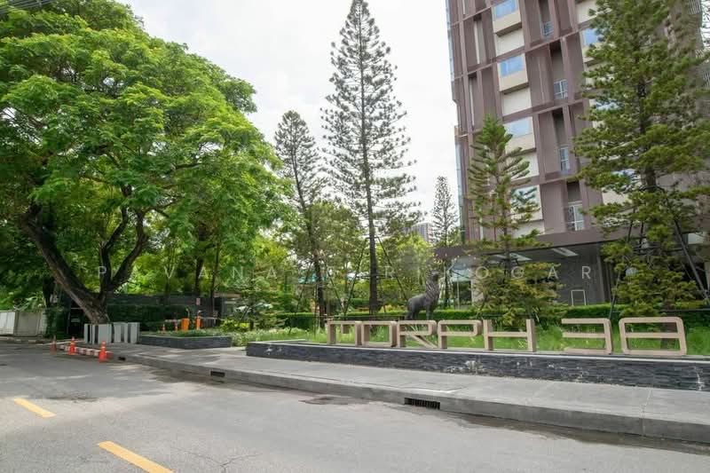 ASHTON Morph 38, Bangkok, 88 Soi Sukhumvit 38, Phra Kanong, Khlong Toei, Bangkok, 2 Bedrooms, 74 sqm, Condo For Rent, by Pavana Sirikogar, 500179848 - DDproperty.com