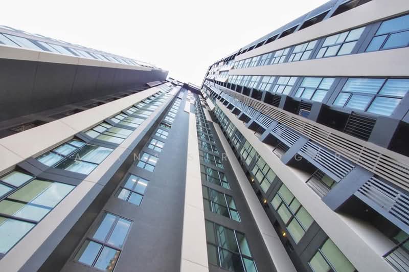 Rhythm Ekkamai, Bangkok, 11 Soi Sukhumvit 63, Khlongtoei Nua, Watthana, Bangkok, 1 Bedroom, 31 sqm, Condo For Rent, by Pavana Sirikogar, 500179857 - DDproperty.com