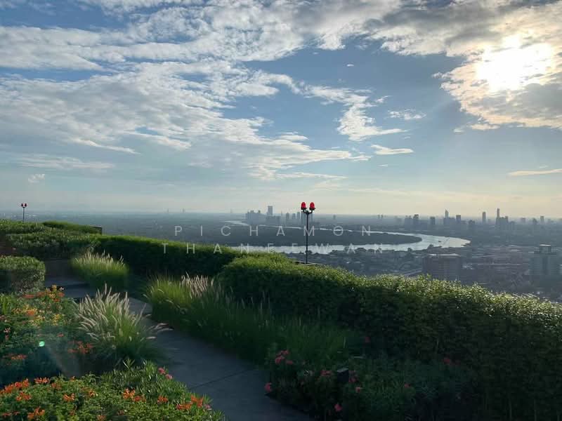 Oka Haus Sukhumvit 36, Bangkok, 3399 Rama 4 Road, Khong Tan, Khlong Toei, Bangkok, 1 Bedroom, 34 sqm, Condo For Rent, by Pichamon Thaneewan, 500180037 - DDproperty.com