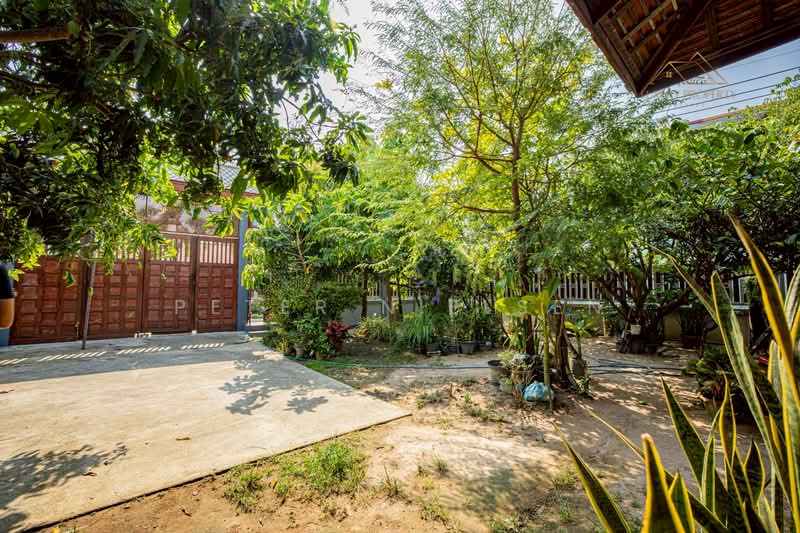 บ้านทรงไทย สร้างจากไม้สัก - 7 ห้องนอน 6 ห้องน้ำ, ชลบุรี, ห้วยใหญ่, บางละมุง, ชลบุรี, 1,200 ตร.ม., บ้านเดี่ยว ขาย, โดย Peter Nielsen, 500180050 - DDproperty.com