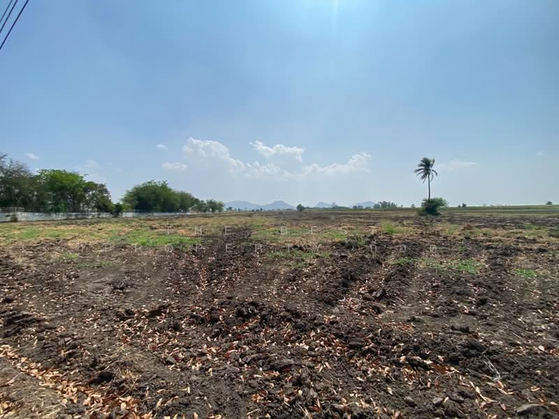 ที่ดินพระนอน นครสวรรค์, Nakhon Sawan, Phra Non, Muang Nakhon Sawan, Nakhon Sawan, , 64,184 sqm, Land For Sale, by The Best Property ก็อต, 500180336 - DDproperty.com