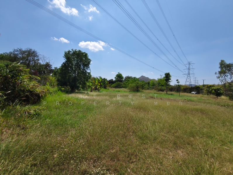 ขาย - ที่ดินโพธาราม ราชบุรี, ราชบุรี