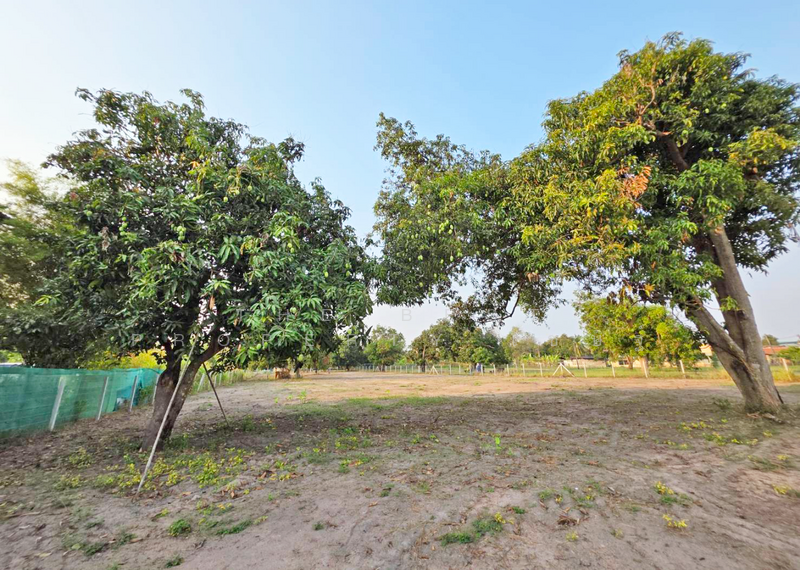 ที่ดินหนองรี ชลบุรี, Chon Buri (Pattaya), Nong Ri, Muang Chon Buri, Chon Buri (Pattaya), , 3,204 sqm, Land For Sale, by The Best Property เชษฐ์, 500180569 - DDproperty.com