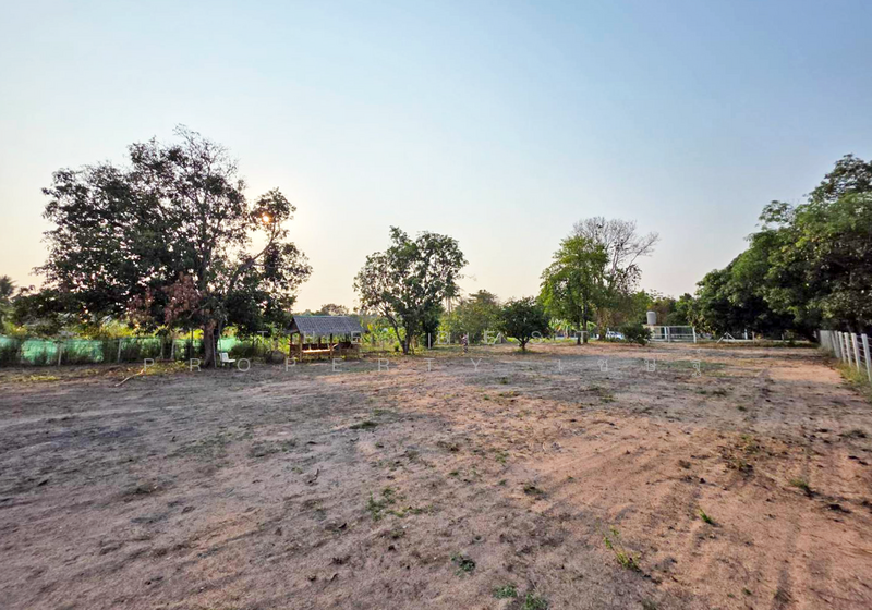 ที่ดินหนองรี ชลบุรี, Chon Buri (Pattaya), Nong Ri, Muang Chon Buri, Chon Buri (Pattaya), , 3,204 sqm, Land For Sale, by The Best Property เชษฐ์, 500180569 - DDproperty.com