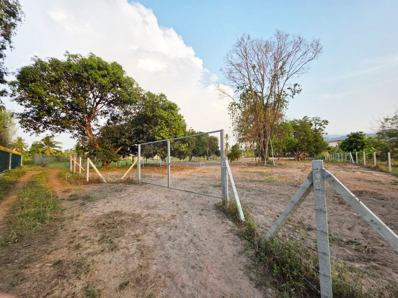 ที่ดินหนองรี ชลบุรี, ชลบุรี, หนองรี, เมืองชลบุรี, ชลบุรี, 3,204 ตร.ม., ที่ดิน ขาย, โดย The Best Property เชษฐ์, 500180569 - DDproperty.com