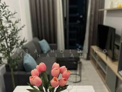 ขาย - M Thonglor 10 : เอ็ม ทองหล่อ 10, กรุงเทพ