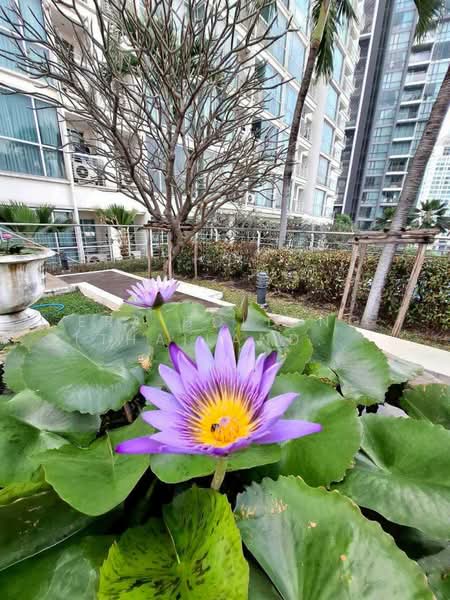 Le Luk Condominium, Bangkok, 1599 291 Sukhumvit Rd, Phra Kanong Nua, Watthana, Bangkok, 2 Bedrooms, 84 sqm, Condo For Sale, by ERA Holding (Thailand) Co., Ltd., 500180653 - DDproperty.com