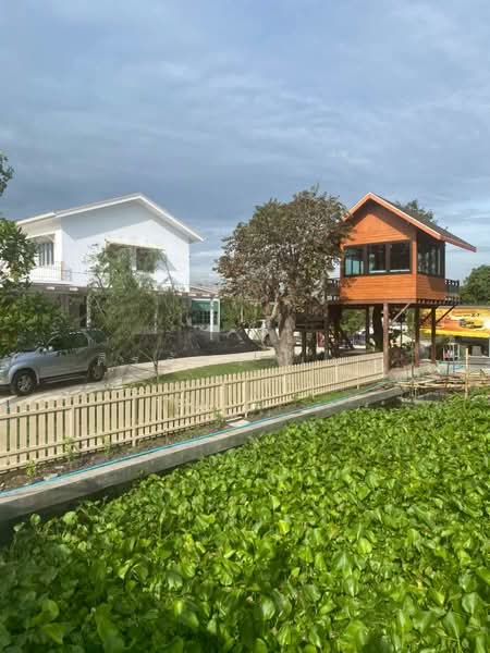 บ้านเดี่ยว7ห้องนอน บ้านแพ้ว 5 ไร่ ตกแต่งสวยพร้อมเข้าอยู่ ติดน้ำ ล้อมด้วยสวนมะพร้าว100ไร่ที่สวยที่สุด, Samut Sakhon, บ้านแพ้ว ซอย 4, Ban Phaeo, Ban Phaeo, Samut Sakhon, 7 Bedrooms, 350 sqm, Villa For Sale, by ศิรภัทร เบญ, 500180700 - DDproperty.com