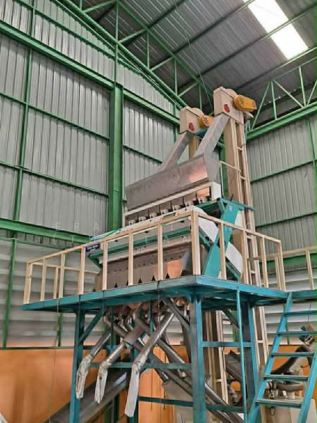 ผลิตเม็ดพลาสติก, Chon Buri (Pattaya), Na Roek, Phanat Nikhom, Chon Buri (Pattaya), , 8,000 sqm, Warehouse/Factory For Sale, by ERA Holding (Thailand) Co., Ltd., 500180706 - DDproperty.com