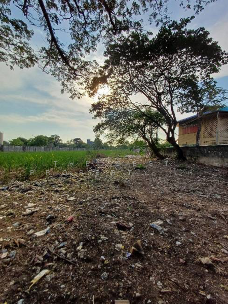 ที่ดินท่าทราย นนทบุรี, Nonthaburi, Tha-Sai, Muang Nonthaburi, Nonthaburi, , 10,360 sqm, Land For Sale, by The Best Property ไก่, 500180792 - DDproperty.com