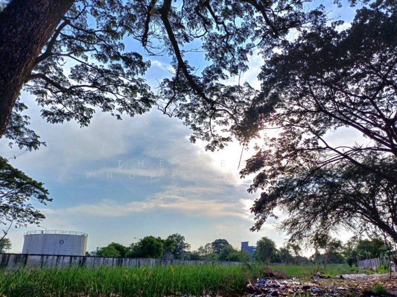 ที่ดินท่าทราย นนทบุรี, Nonthaburi, Tha-Sai, Muang Nonthaburi, Nonthaburi, , 10,360 sqm, Land For Sale, by The Best Property ไก่, 500180792 - DDproperty.com