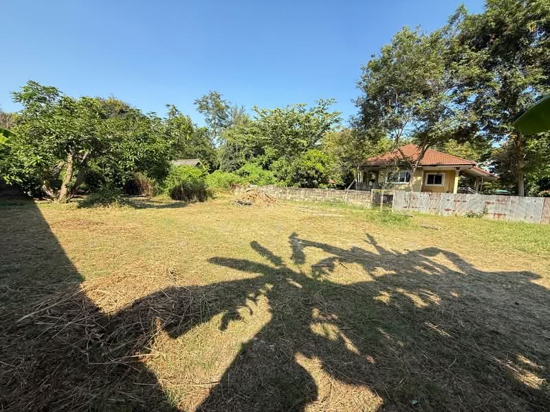 ที่ดินบ้านลาด เพชรบุรี, Phetchaburi, Samophlu, Ban Lat, Phetchaburi, , 844 sqm, Land For Sale, by The Best Property ดาด้า, 500180795 - DDproperty.com