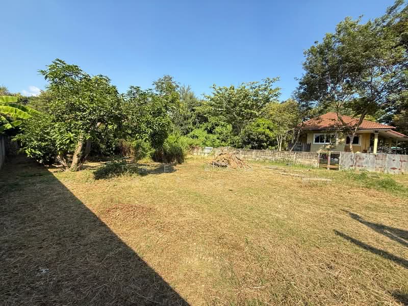 ที่ดินบ้านลาด เพชรบุรี, Phetchaburi, Samophlu, Ban Lat, Phetchaburi, , 844 sqm, Land For Sale, by The Best Property ดาด้า, 500180795 - DDproperty.com