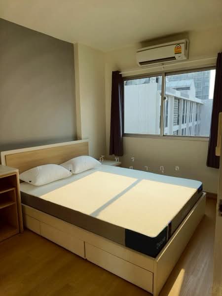 ให้เช่า - My Condo Sukhumvit 81 : มายคอนโด สุขุมวิท81, กรุงเทพ