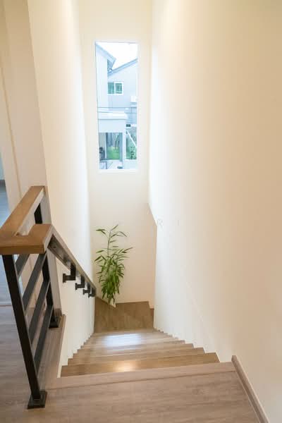 Anasiri Payap, Chiang Mai, Nong Pa Krang, Muang Chiang Mai, Chiang Mai, 4 Bedrooms, 145 sqm, Single Detached House For Rent, by Shori Asset Group Co., Ltd., 500180891 - DDproperty.com