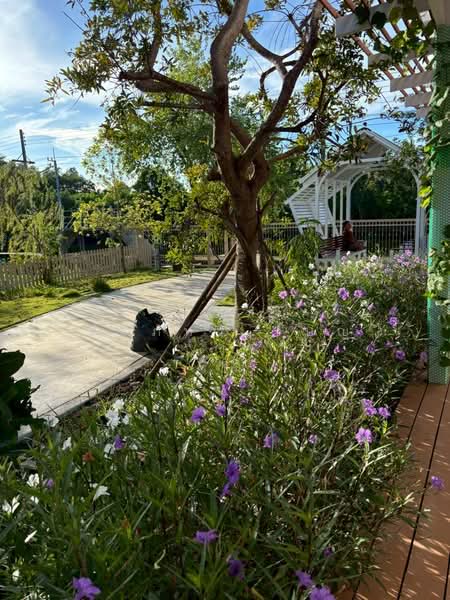 รีสอร์ต บ้านแพ้วซอย 4 ที่ดิน 5 ไร่ ติดคลองดำเนินสะดวก ใจกลางสวนมะพร้าว100ไร่ที่สวยที่สุด สมุทรสาคร, สมุทรสาคร, ยกกระบัตร, บ้านแพ้ว, สมุทรสาคร, 350 ตร.ม., วิลล่า ให้เช่า, โดย ศิรภัทร เบญ, 500180943 - DDproperty.com