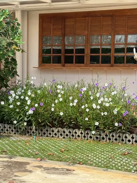 รีสอร์ต บ้านแพ้วซอย 4 ที่ดิน 5 ไร่ ติดคลองดำเนินสะดวก ใจกลางสวนมะพร้าว100ไร่ที่สวยที่สุด สมุทรสาคร, สมุทรสาคร, ยกกระบัตร, บ้านแพ้ว, สมุทรสาคร, 350 ตร.ม., วิลล่า ให้เช่า, โดย ศิรภัทร เบญ, 500180943 - DDproperty.com