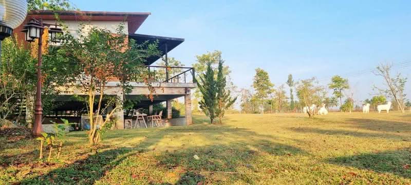 ที่ดิน 2 ไร่ กว้างขวาง เป็นส่วนตัว, นครราชสีมา, โป่งตาลอง, ปากช่อง, นครราชสีมา, 3,200 ตร.ม., ที่ดิน ขาย, โดย ERA Thailand, 500180946 - DDproperty.com