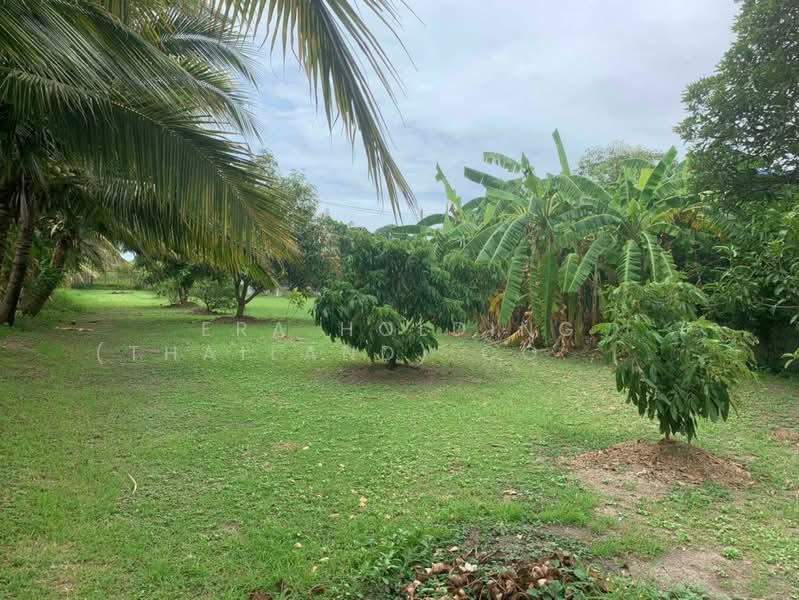 สีม่วง ทำเลอุตสาหกรรม, Samut Sakhon, Khlong Madua, Krathum Baen, Samut Sakhon, , 3,200 sqm, Land For Sale, by ERA Holding (Thailand) Co., Ltd., 500180986 - DDproperty.com