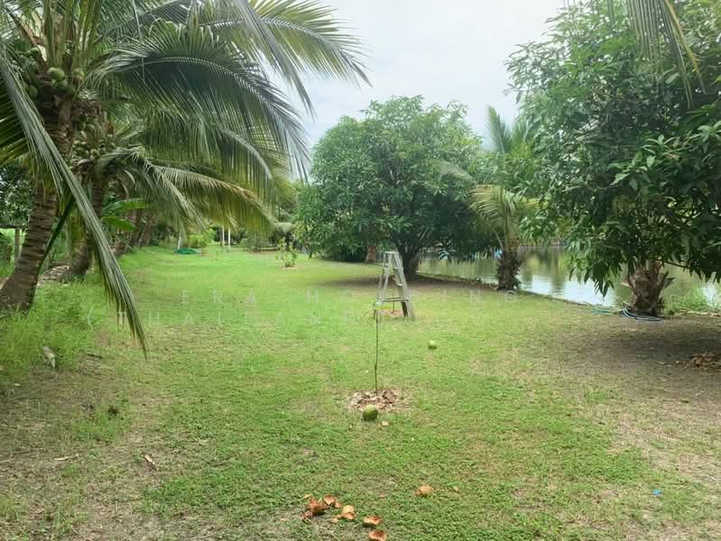 สีม่วง ทำเลอุตสาหกรรม, Samut Sakhon, Khlong Madua, Krathum Baen, Samut Sakhon, , 3,200 sqm, Land For Sale, by ERA Holding (Thailand) Co., Ltd., 500180986 - DDproperty.com