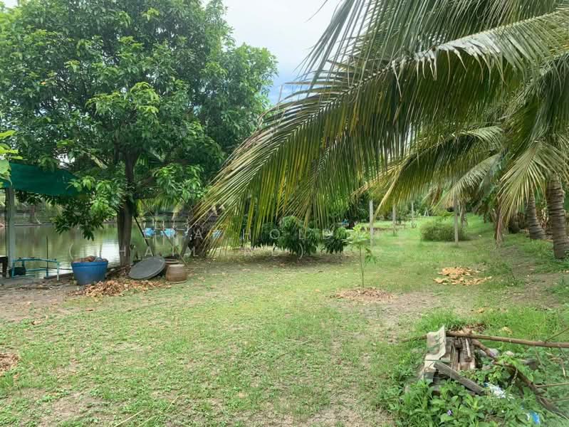 สีม่วง ทำเลอุตสาหกรรม, Samut Sakhon, Khlong Madua, Krathum Baen, Samut Sakhon, , 3,200 sqm, Land For Sale, by ERA Holding (Thailand) Co., Ltd., 500180986 - DDproperty.com