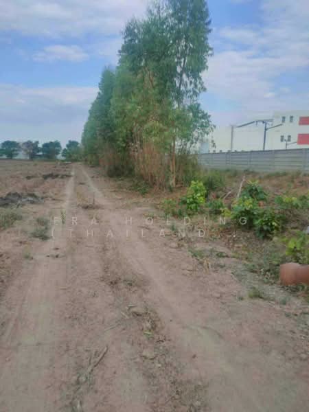 ผังสีม่วง, Prachin Buri, Hua Wa, Sri Maha Pho, Prachin Buri, , 26,748 sqm, Land For Sale, by ERA Holding (Thailand) Co., Ltd., 500181005 - DDproperty.com