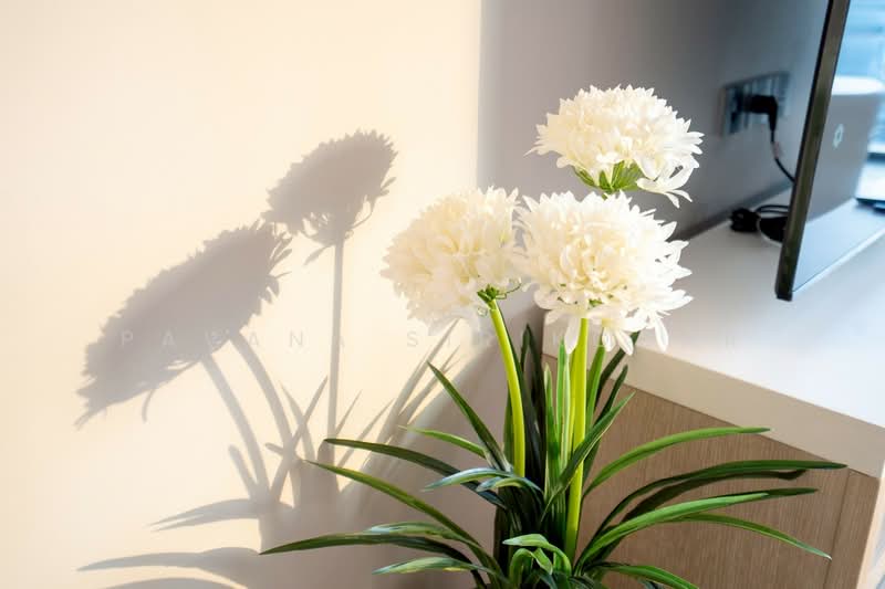 ONE89 Wireless : วัน เอทตี้ไนน์ ไวร์เลส, กรุงเทพ, ถนนวิทยุ, ลุมพินี, ปทุมวัน, กรุงเทพ, 372 ตร.ม., คอนโด ให้เช่า, โดย Pavana Sirikogar, 500181022 - DDproperty.com