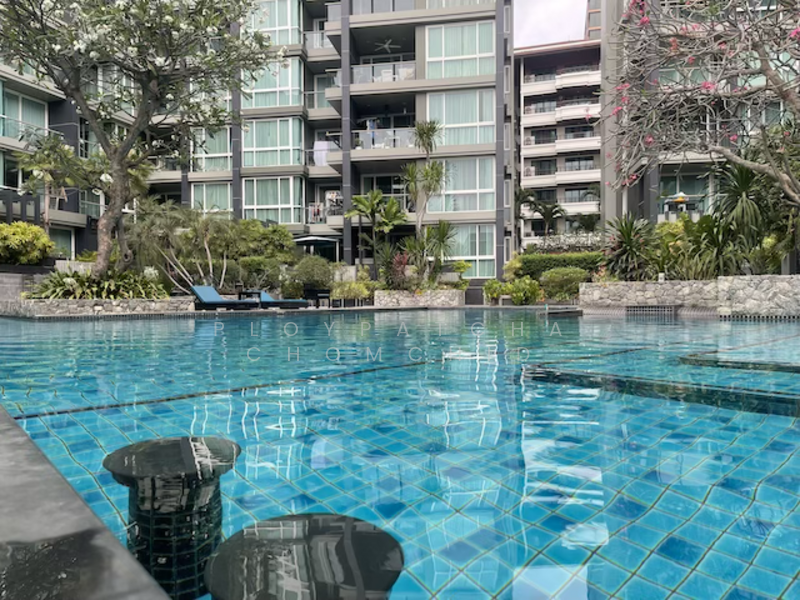 Apus Condominium : เอพัส คอนโดมีเนียม พัทยา กลาง, ชลบุรี, เพนียดช้าง, หนองปรือ, บางละมุง, ชลบุรี, 70 ตร.ม., คอนโด ให้เช่า, โดย Ploypatcha Chomchid, 500181121 - DDproperty.com